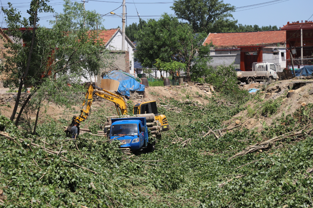 邹平市明集镇:探索环境整治新路径 打造宜居乡村新风貌