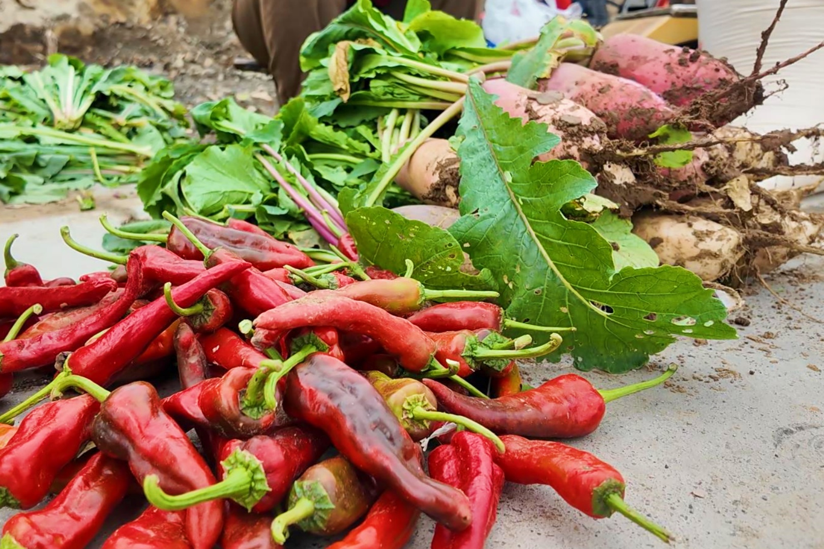 邹平市临池镇:山村周末大集 体验人间烟火