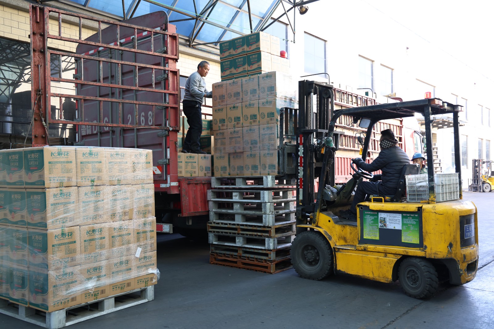 1月8日，在邹平市韩店镇长寿花食品股份有限公司，工人驾驶机械搬运玉米油。