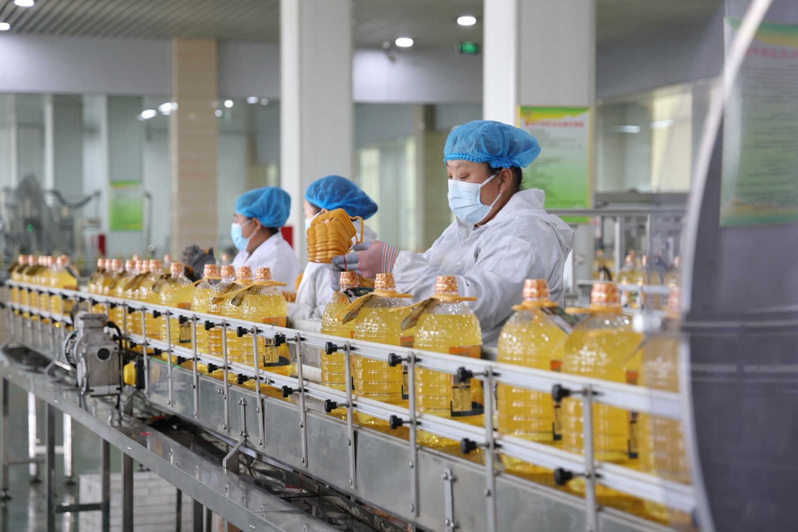 1月8日，在邹平市韩店镇长寿花食品股份有限公司玉米油生产线，工人在流水线上作业。