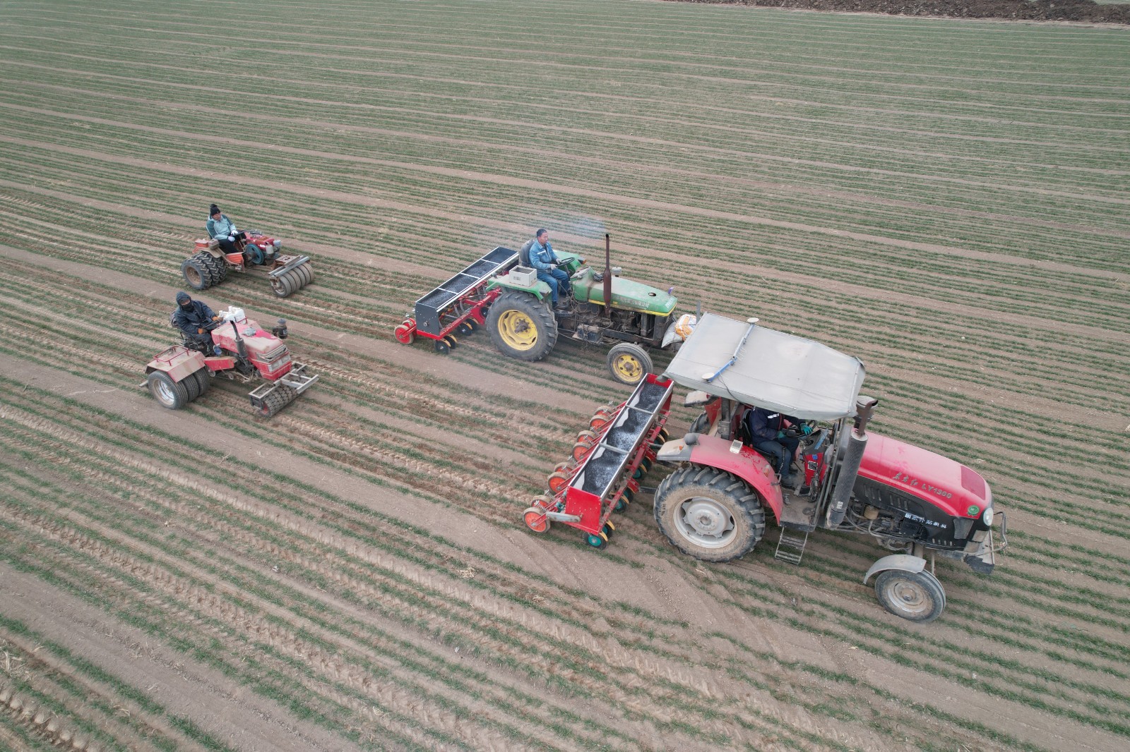 2026年2月10日，在山东省邹平市韩店镇西韦村的农田里，农民驾驶机械对小麦进行施肥、镇压作业。