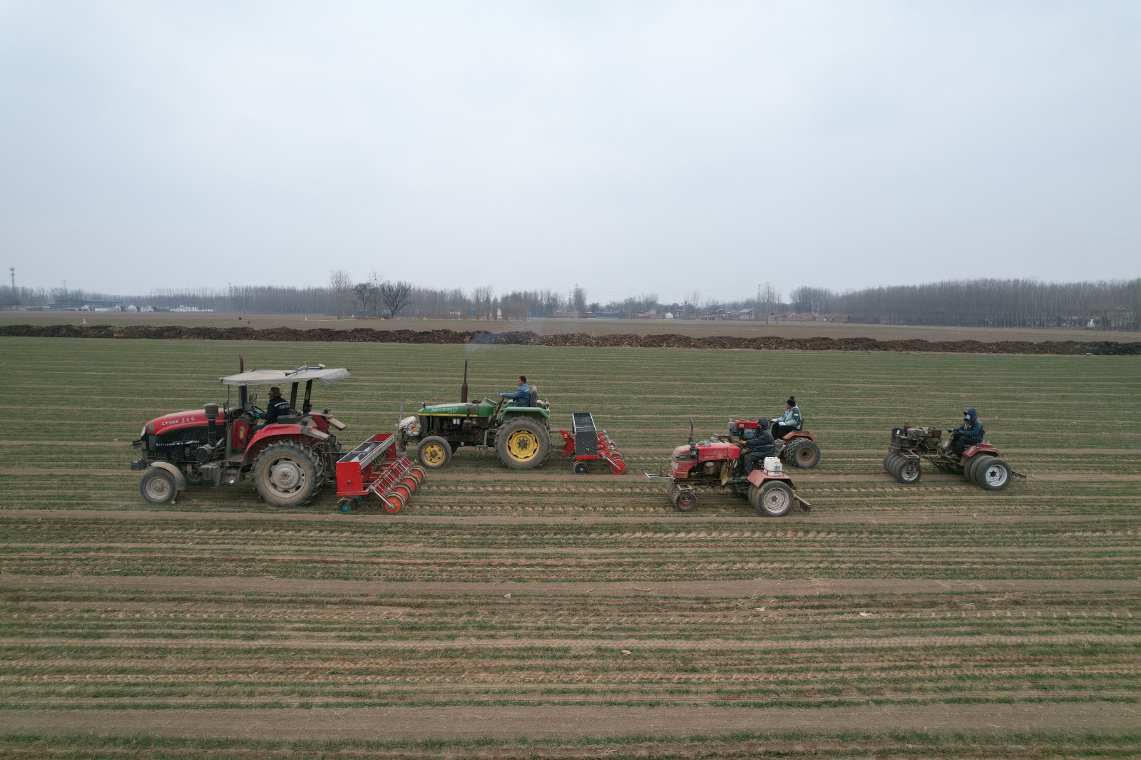 2026年2月10日，在山东省邹平市韩店镇西韦村的农田里，农民驾驶机械对小麦进行施肥、镇压作业。