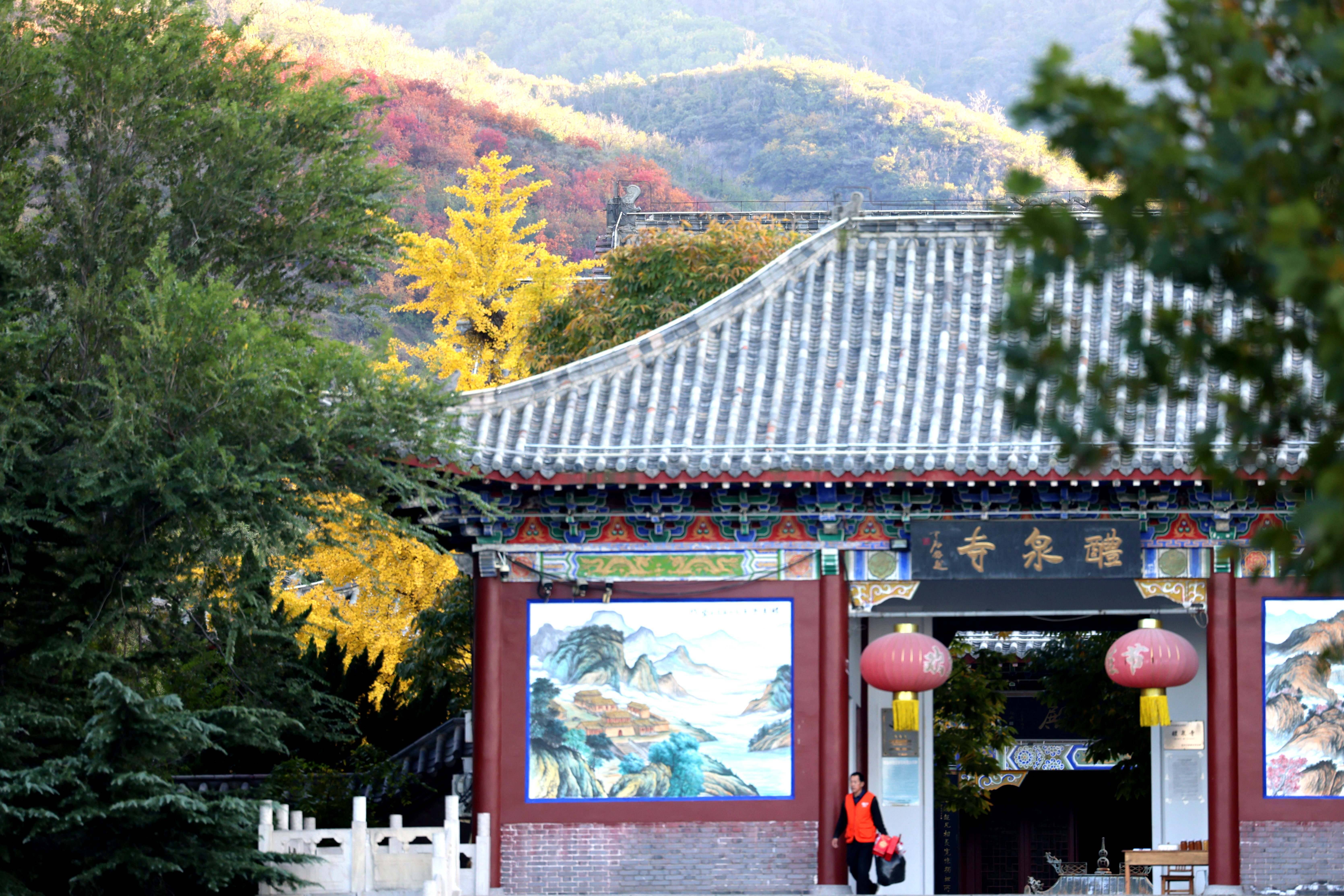 邹平:柿红映古寺 醴泉好风光