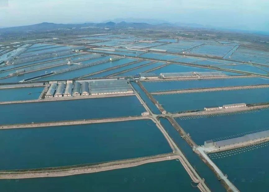 2025-2030年中国小龙虾养殖产业深度调研与趋势前瞻