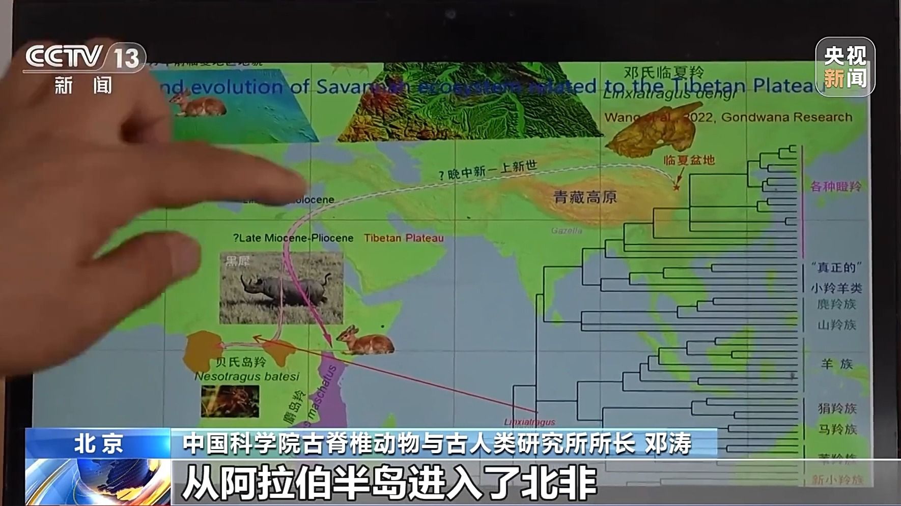 由此導致海水大範圍結冰及海平面下降,使得地球各大陸板塊之間具有了