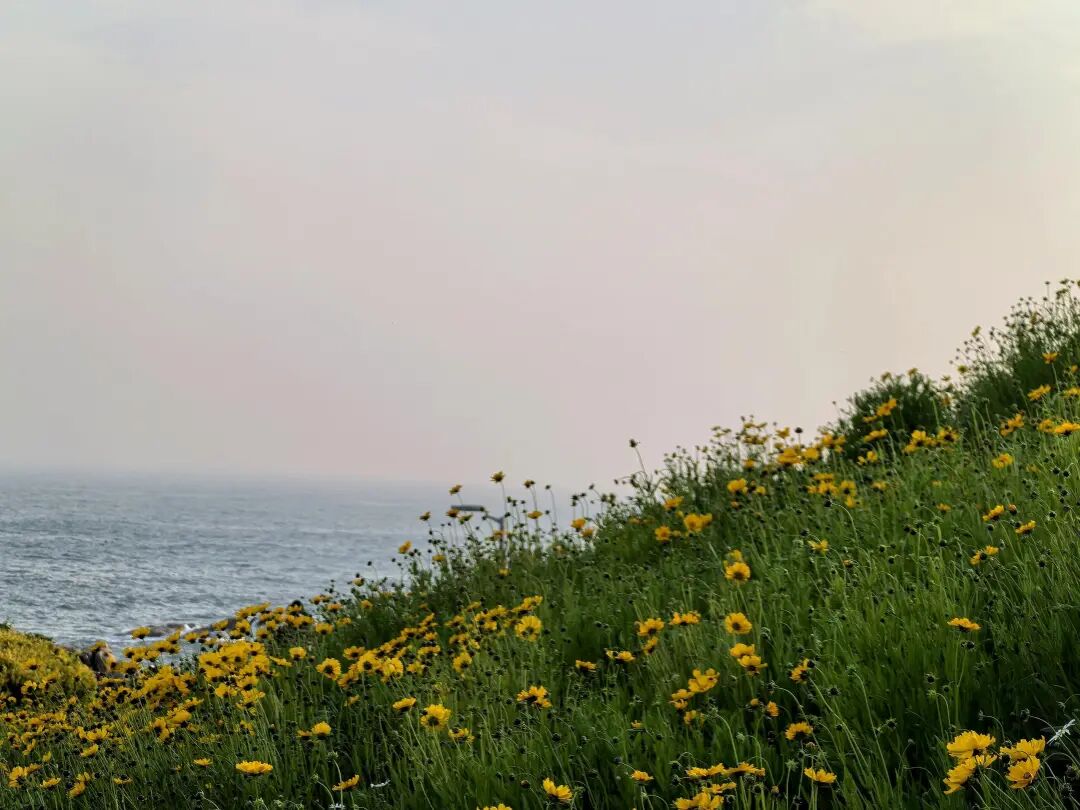 5f49cfa4d4855a4e750b9deb0f13eb81.jpg
