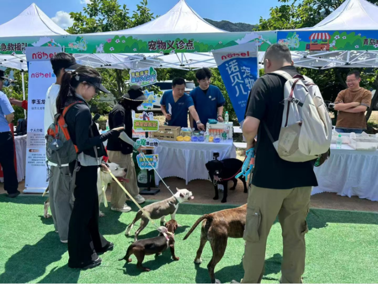 053004)新闻通稿:“青岛阿勒泰”,带着宠物来撒欢儿!(2)1319.png