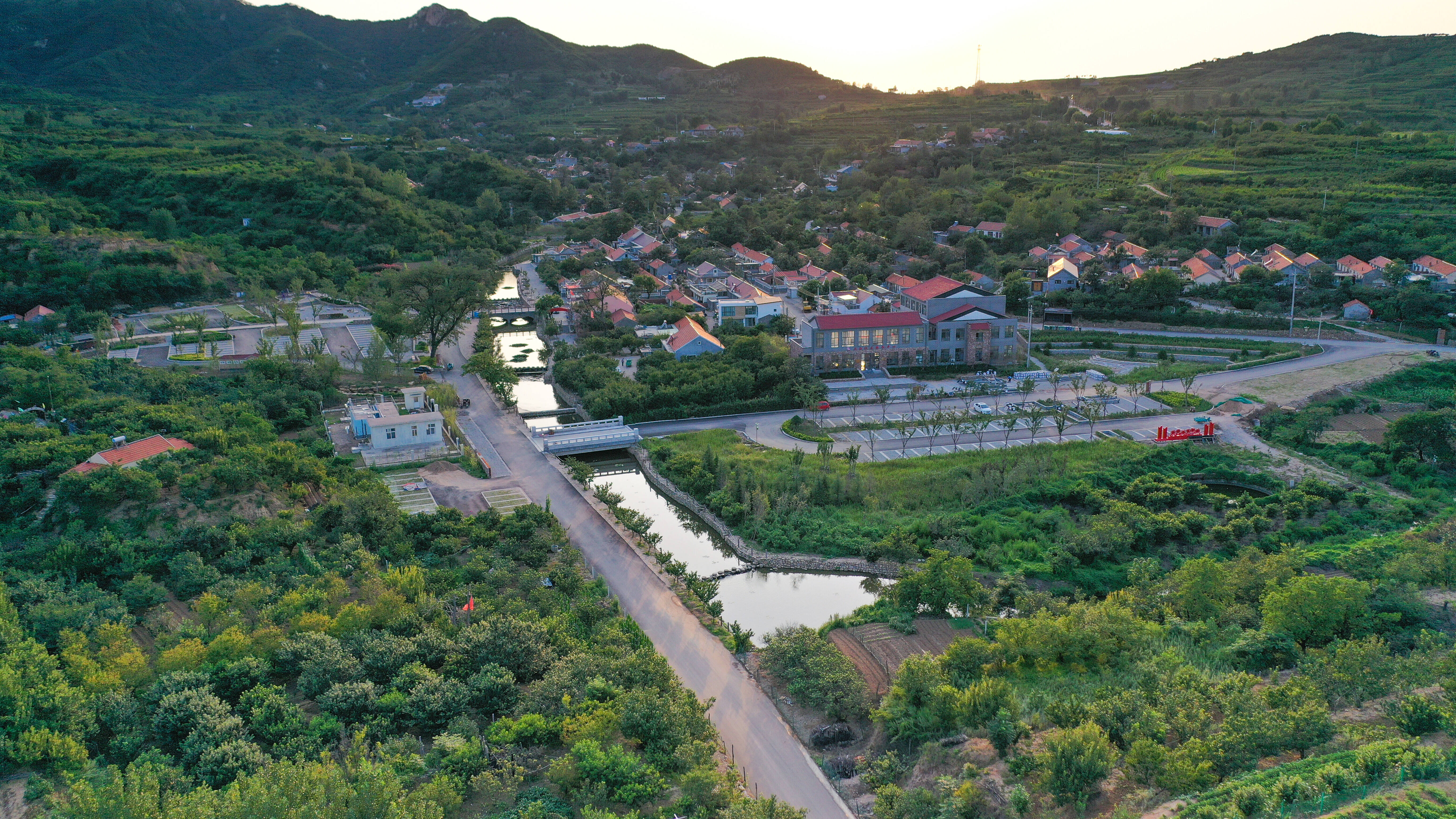 以生态优势释放发展动能——铁山街道杨家山里一村入选第一批山东省乡