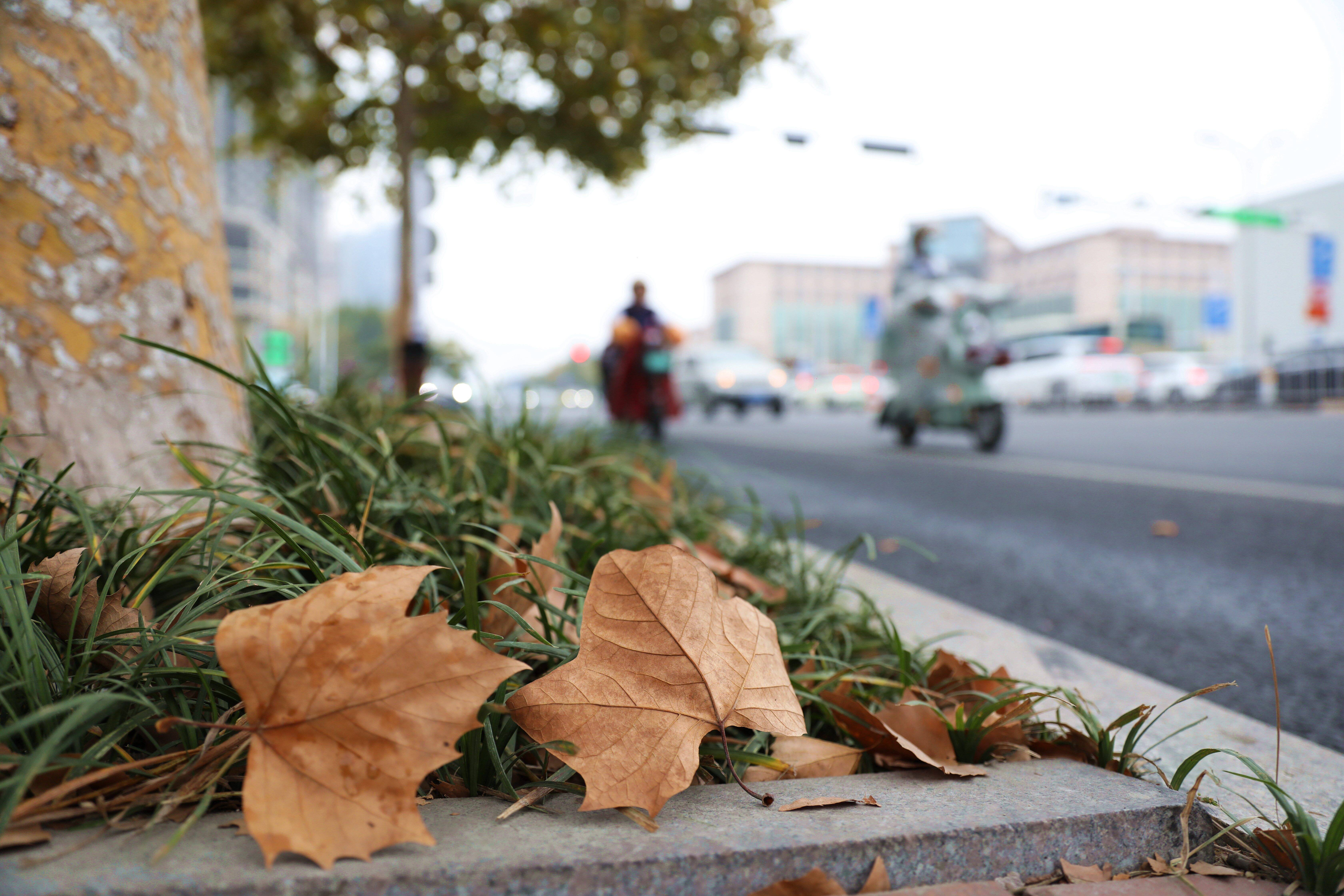 最低温47青岛重要天气提醒大风降雨剧烈降温秋裤准备好了吗