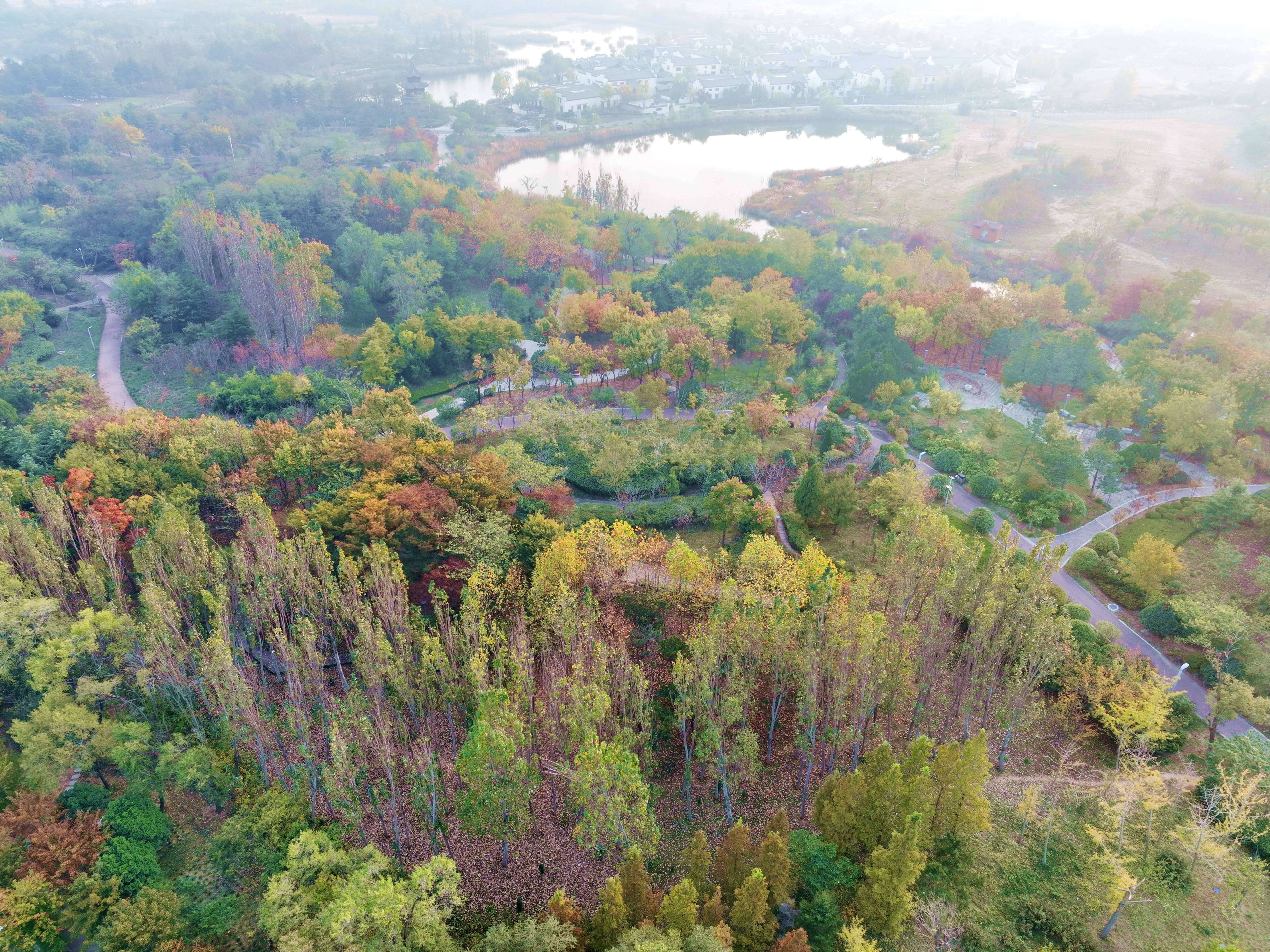 组图:秋染唐岛湾-青岛西海岸新闻网