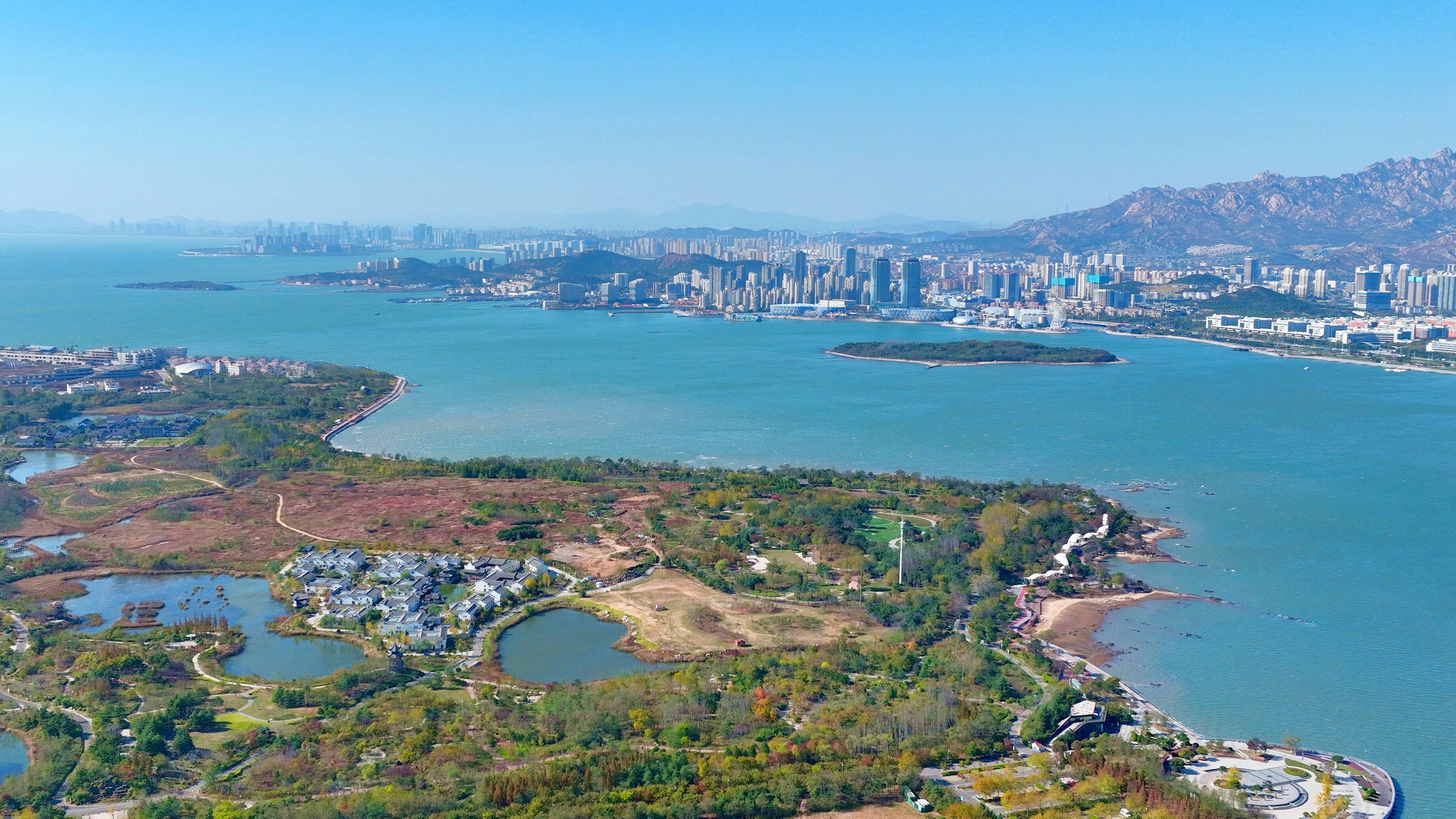 唐岛湾畔秋韵未尽