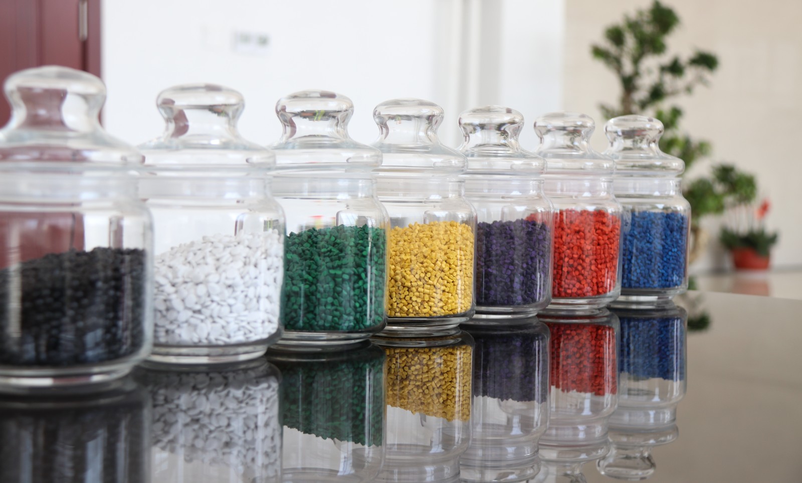 微信图片_20241024155246