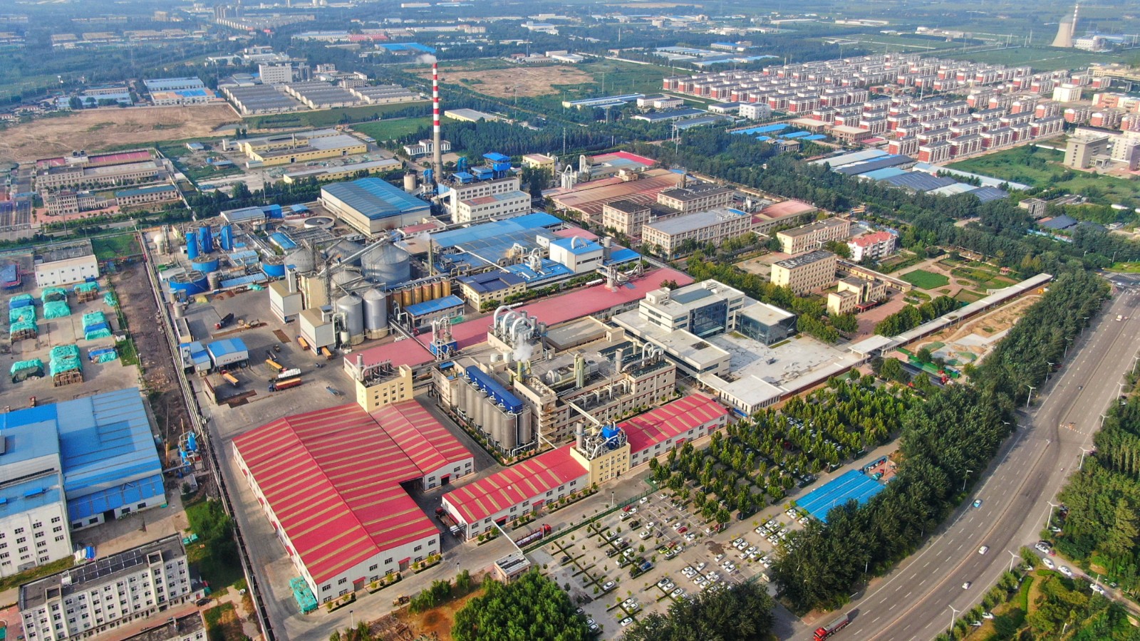 公司全景图
