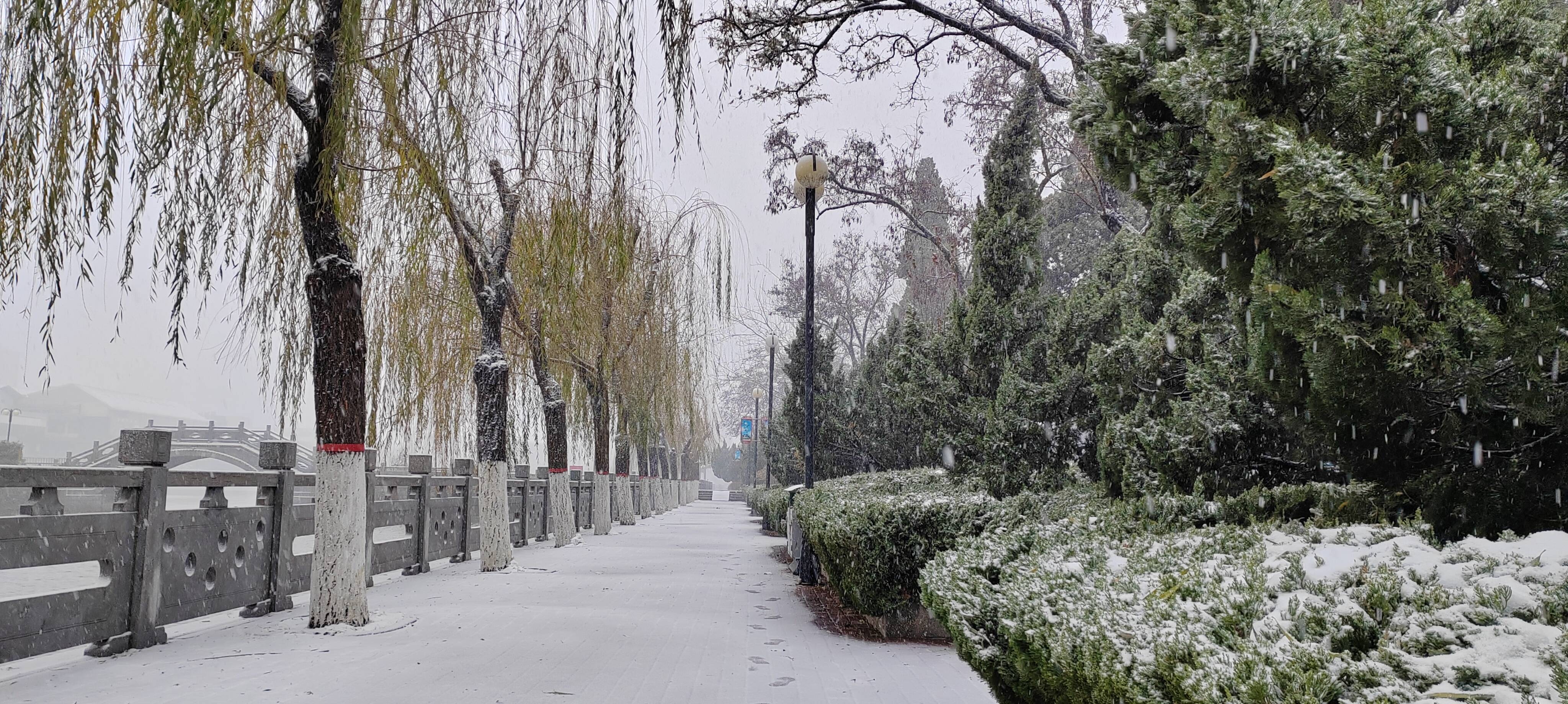 【图文更新】下05雪05了05,共赏如约而至的德州雪景!-大略网