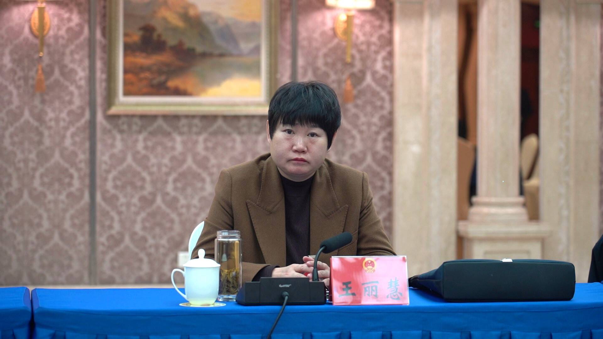 增创新优势谋求新发展两会说德州市人大代表武城县委副书记县长王丽慧