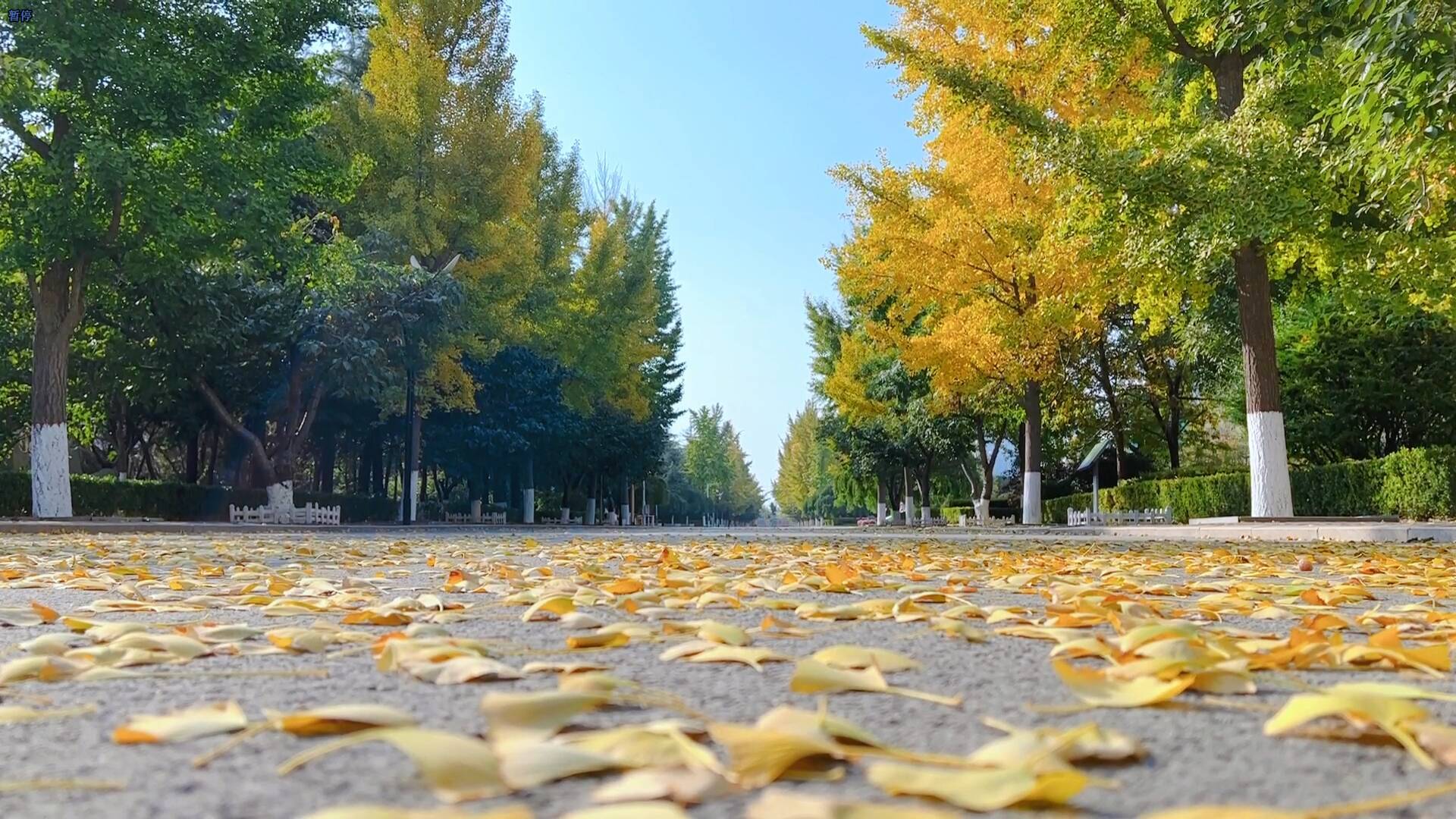 冬天的图片景色校园图片