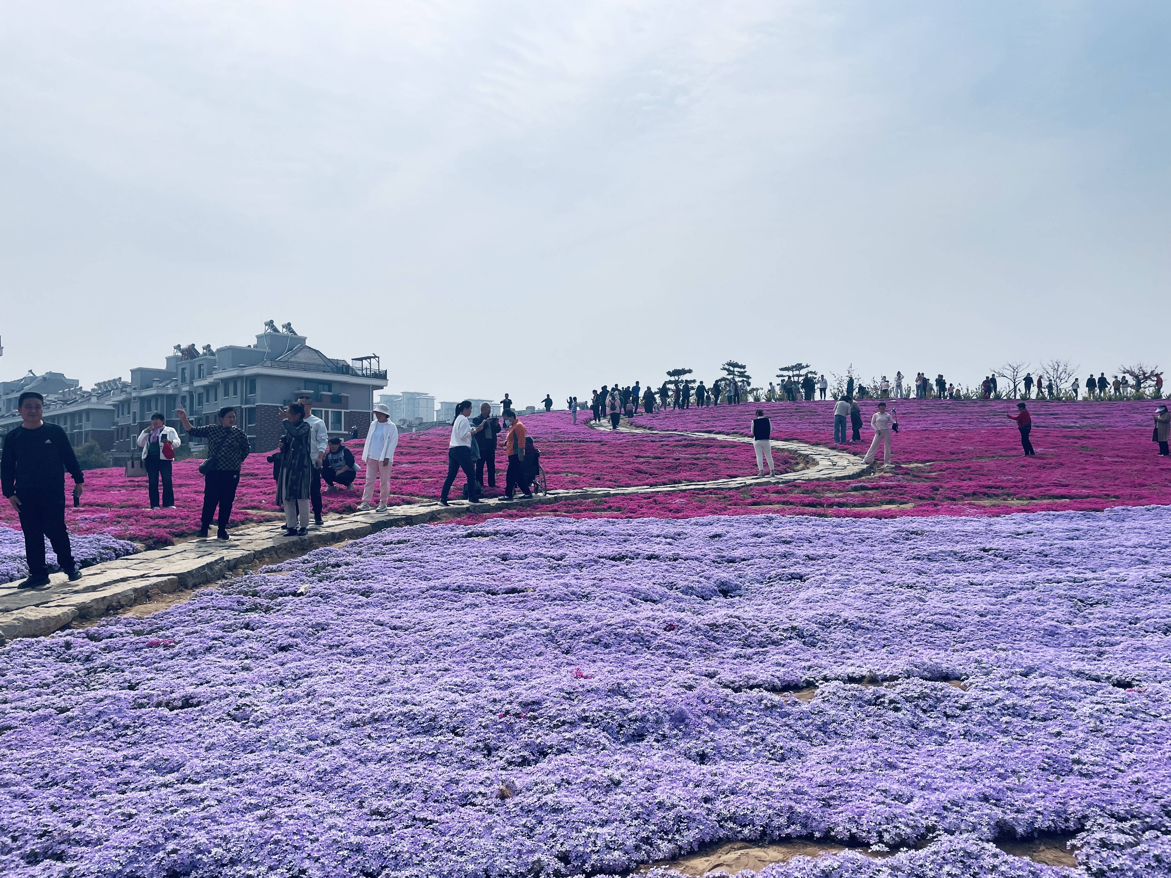 惠漫香图片