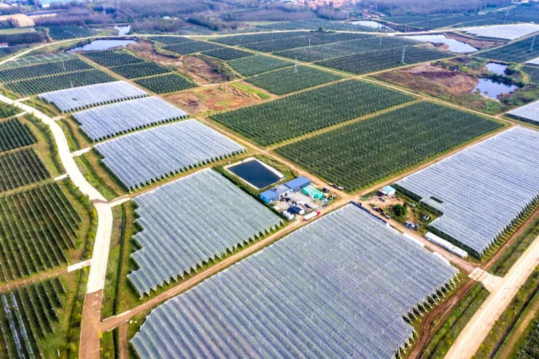 示范区产业布局图_副本.jpg