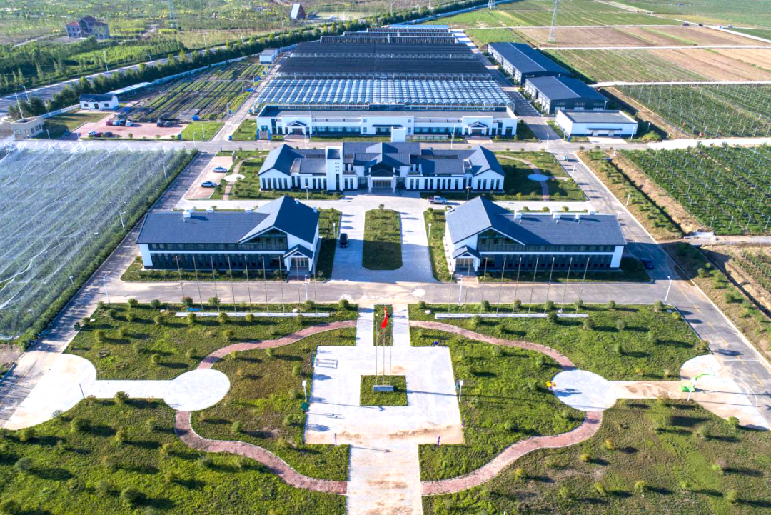 国家级农林孵化器_副本.png