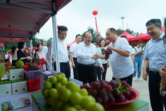 强农先锋丨徐凤杰：一切为了老少爷们更幸福