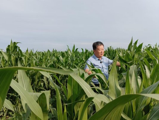强农先锋丨刘风俊：种粮大户的共富初心
