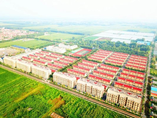 强农先锋丨徐凤杰：一切为了老少爷们更幸福