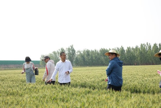 强农先锋丨徐召智：“菲达”丰裕“中国饭碗”