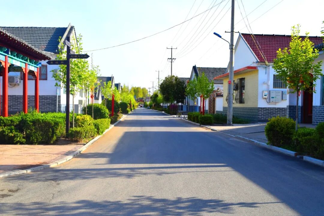 1.实施垃圾不落地后的注沟社区逄戈庄中心大街_副本.jpg