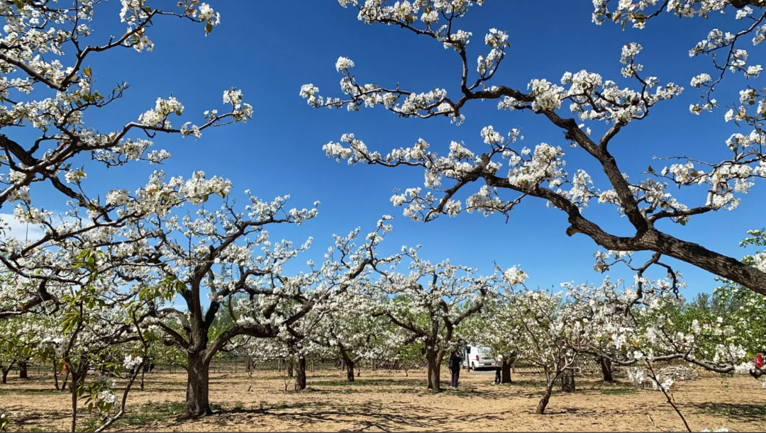 undefined b199509e53995a08deac91a18818e5a9.png