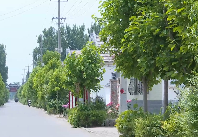 齐鲁文明网_全国文明村镇 高密市逄戈庄村 党建引领乡村振兴