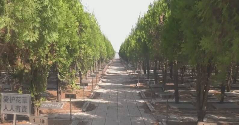 潍坊高密市经济开发区:多措并举助推移风易俗 文明祭祀走深走实