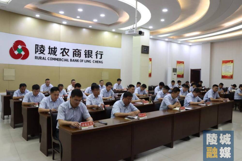 德州市陵城区地方金融监管局组织召开集中处置不良贷款百日攻坚行动推进会议