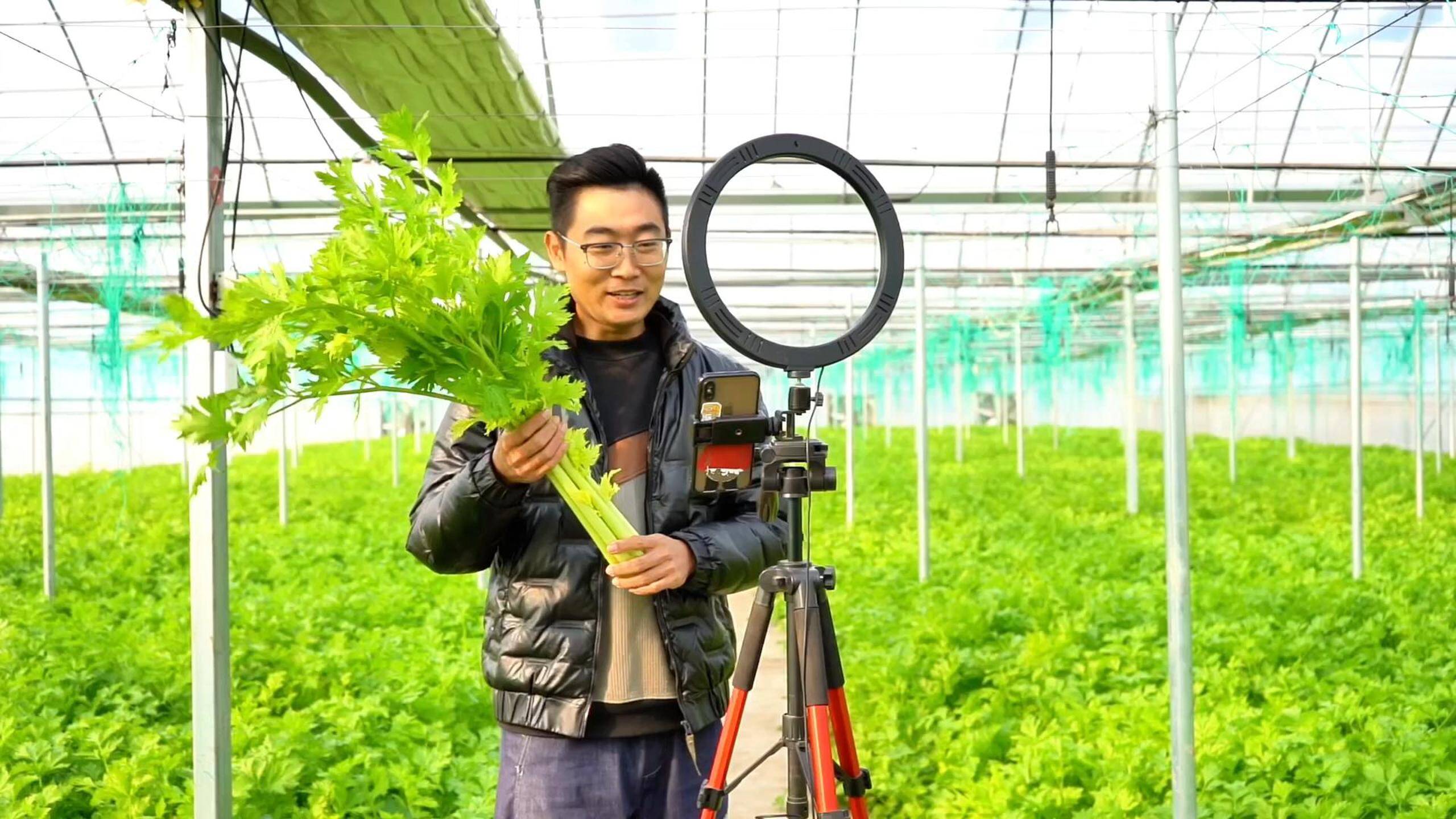 乡村振兴齐鲁样板村村有好戏丨绿色蔬菜搭乘直播专车从田间地头直达