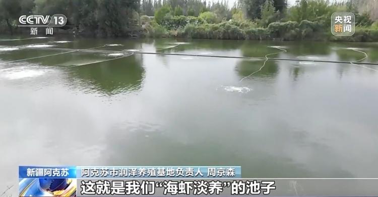 【新闻】内陆没有“海”，如何养“海鲜”（原来新疆三文鱼是鲑鱼和咸水虹鳟））2