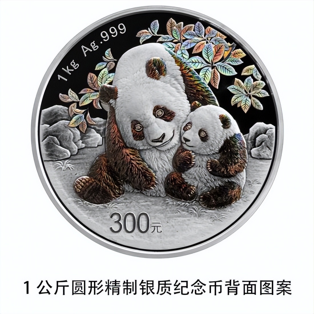 熊猫vp最新版2024_熊猫vp加快
器（vp 熊猫）