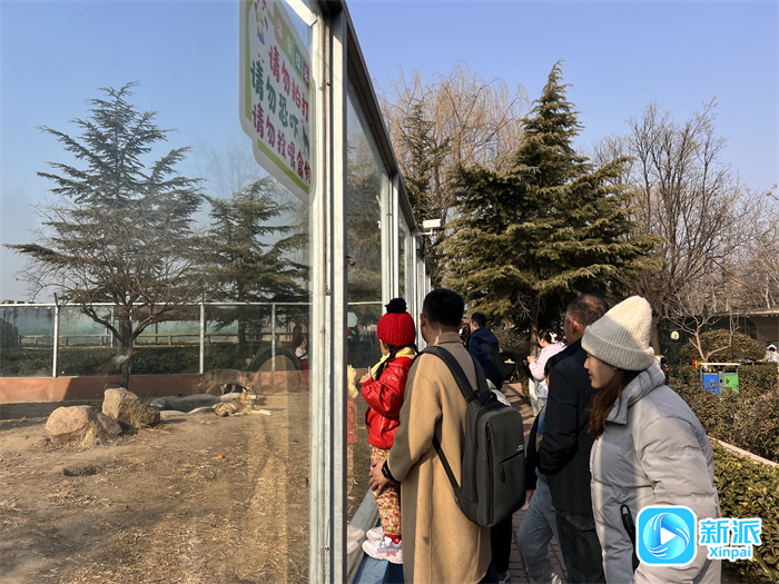  188金宝搏app下载塑业