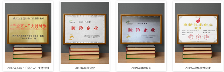 1764666986895153.png image.png