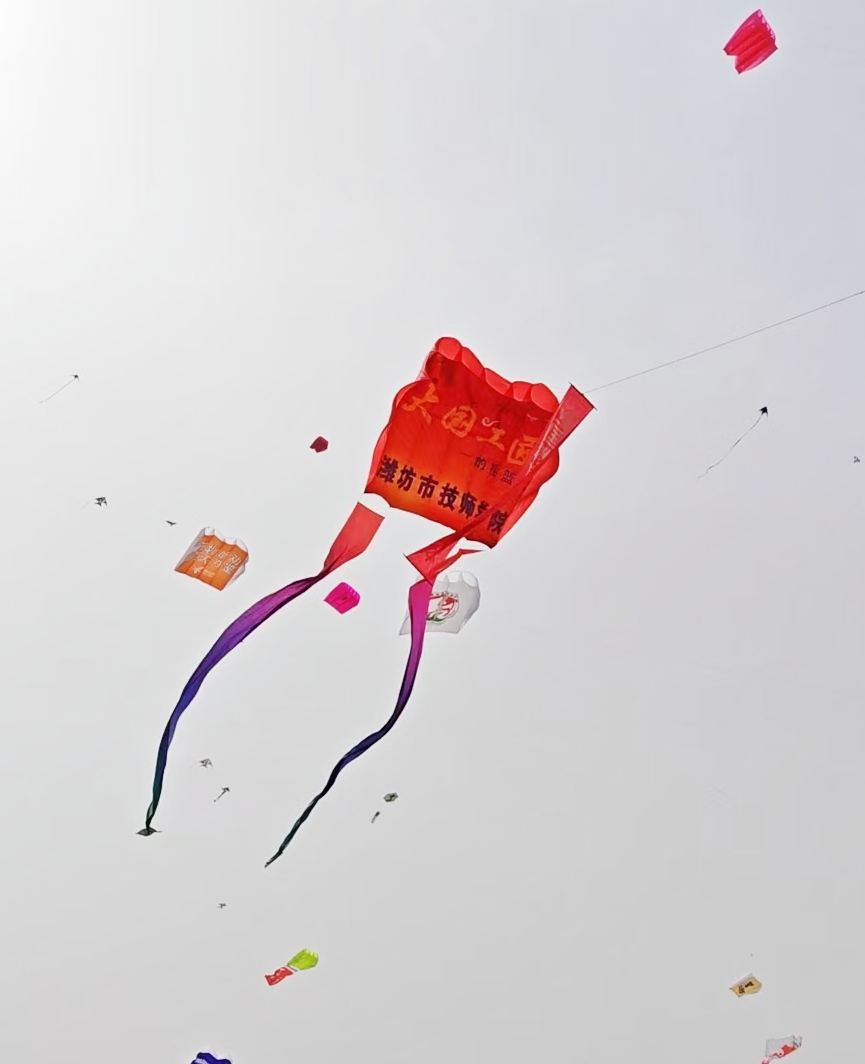 1746351860864044076.jpg 1746351860864044076.jpg