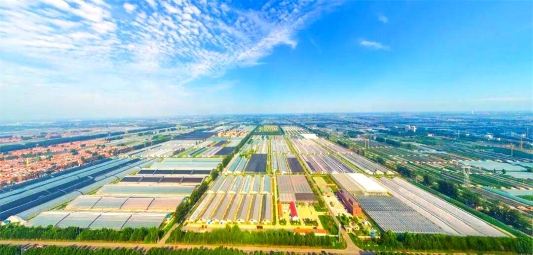 锚定“万亿城市”，潍坊“十五五”的雄心与路径