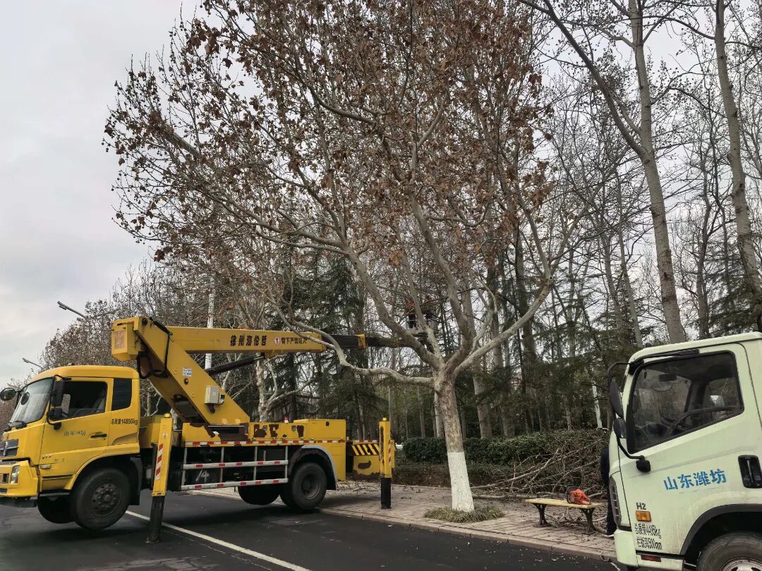 春季修剪 (1).jpg