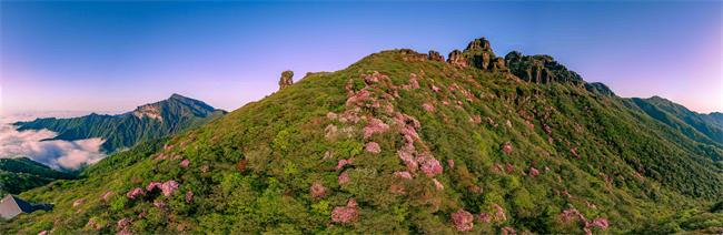 1 梵净山漫山杜鹃盛开。梵净山供图 第1眼TV-华龙网发