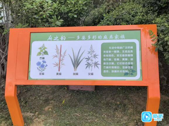 潍坊市奎文区:麻沟河畔再提质文化赋能添底蕴(图3)