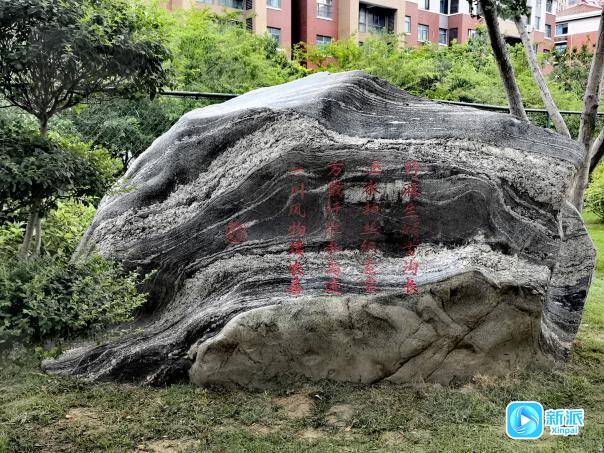 潍坊市奎文区:麻沟河畔再提质文化赋能添底蕴(图2)