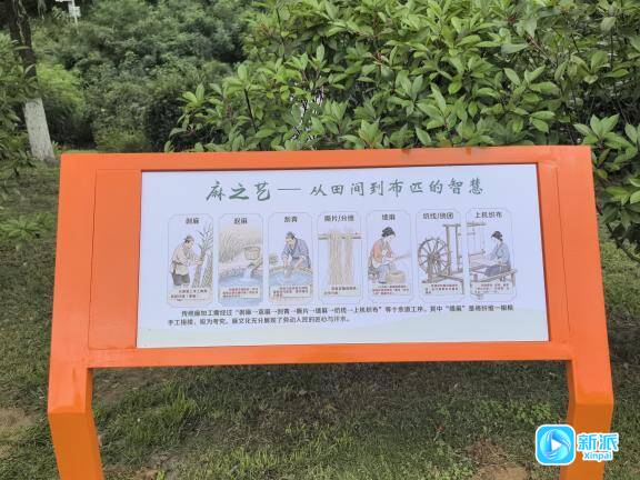 潍坊市奎文区:麻沟河畔再提质文化赋能添底蕴(图4)