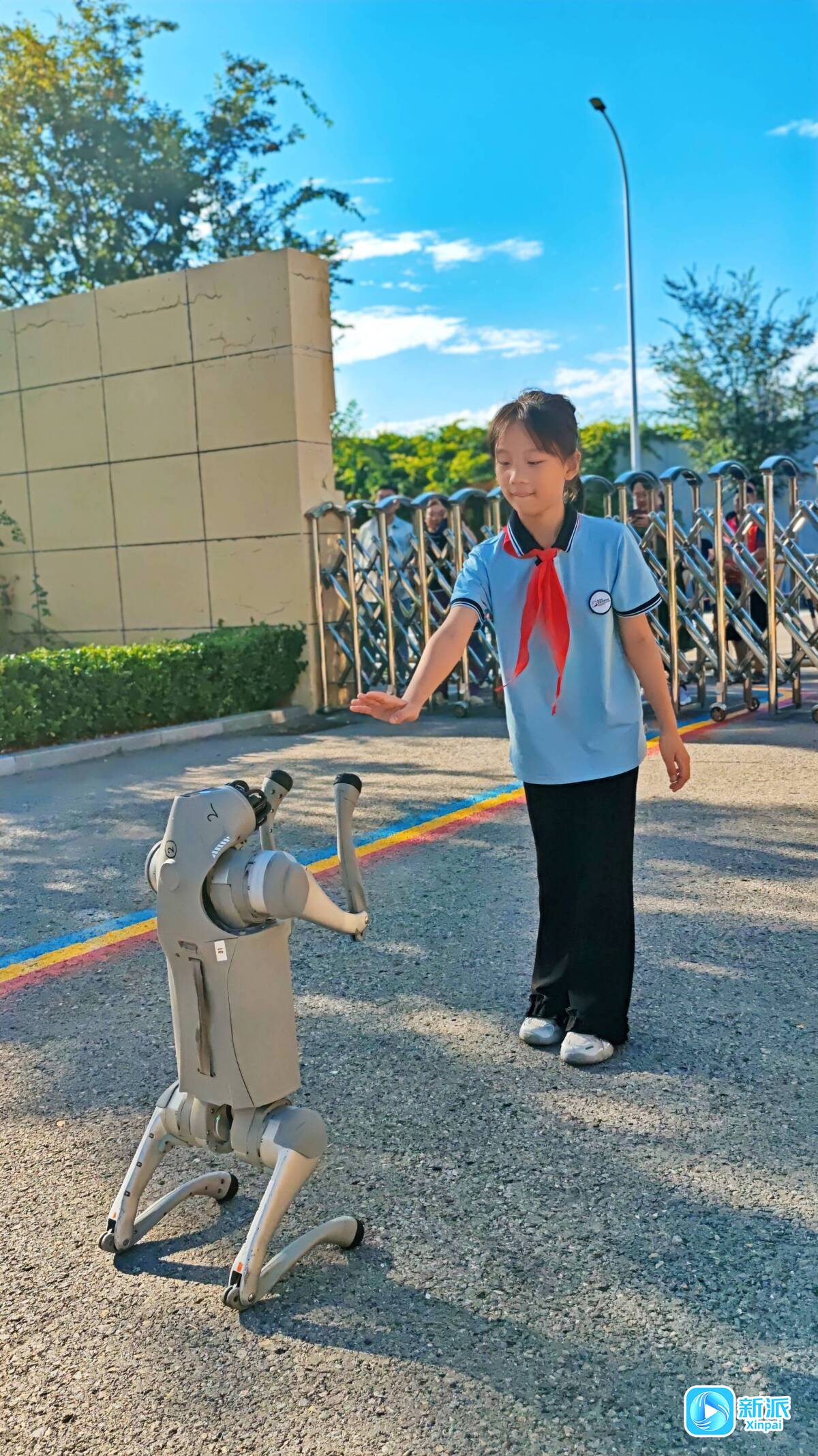 “机器狗”迎开学科技感满满(图2)