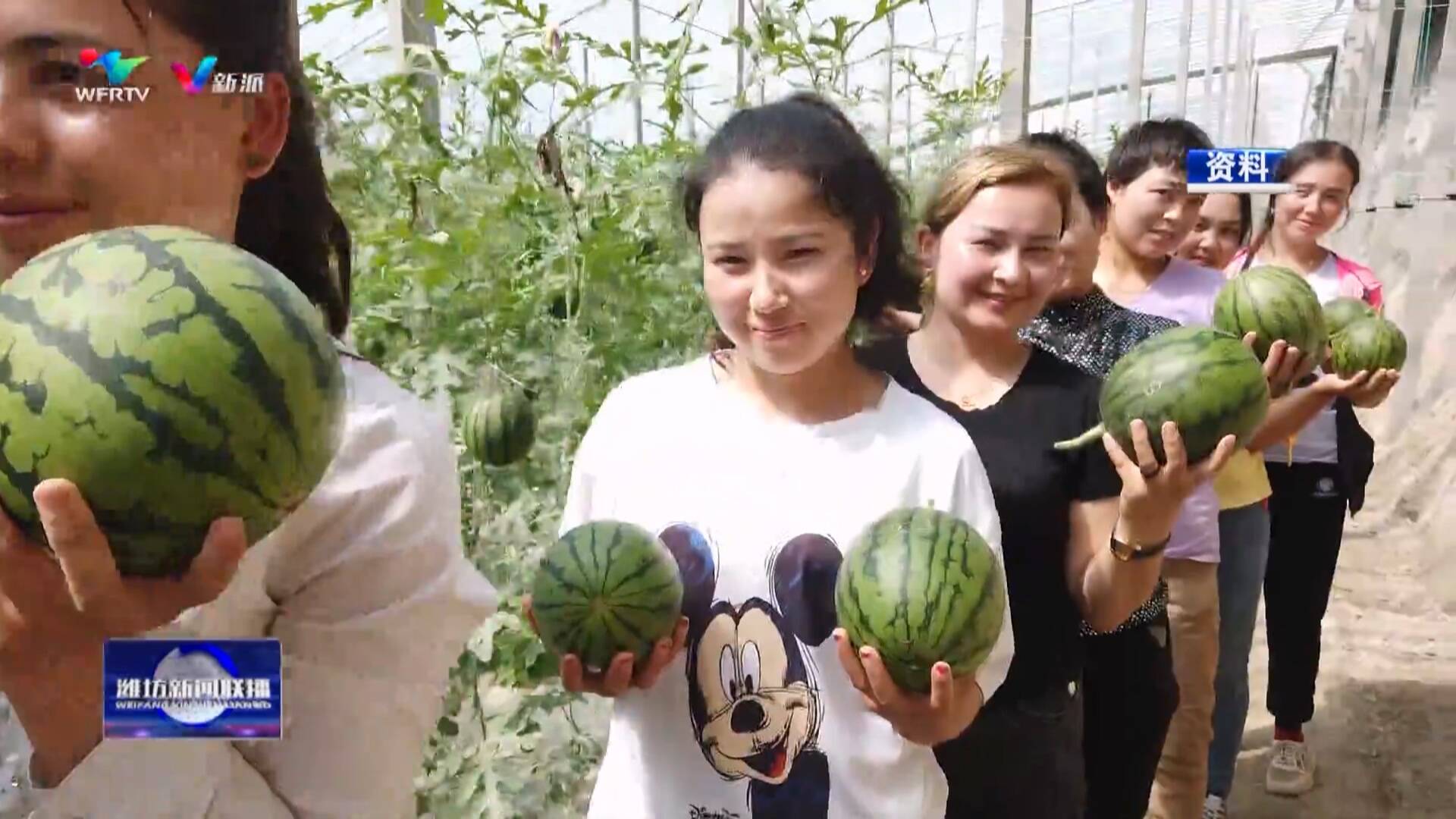 【打造乡村振兴齐鲁样板】追着太阳种西瓜郭牌农业“一招鲜吃遍天”(图10)