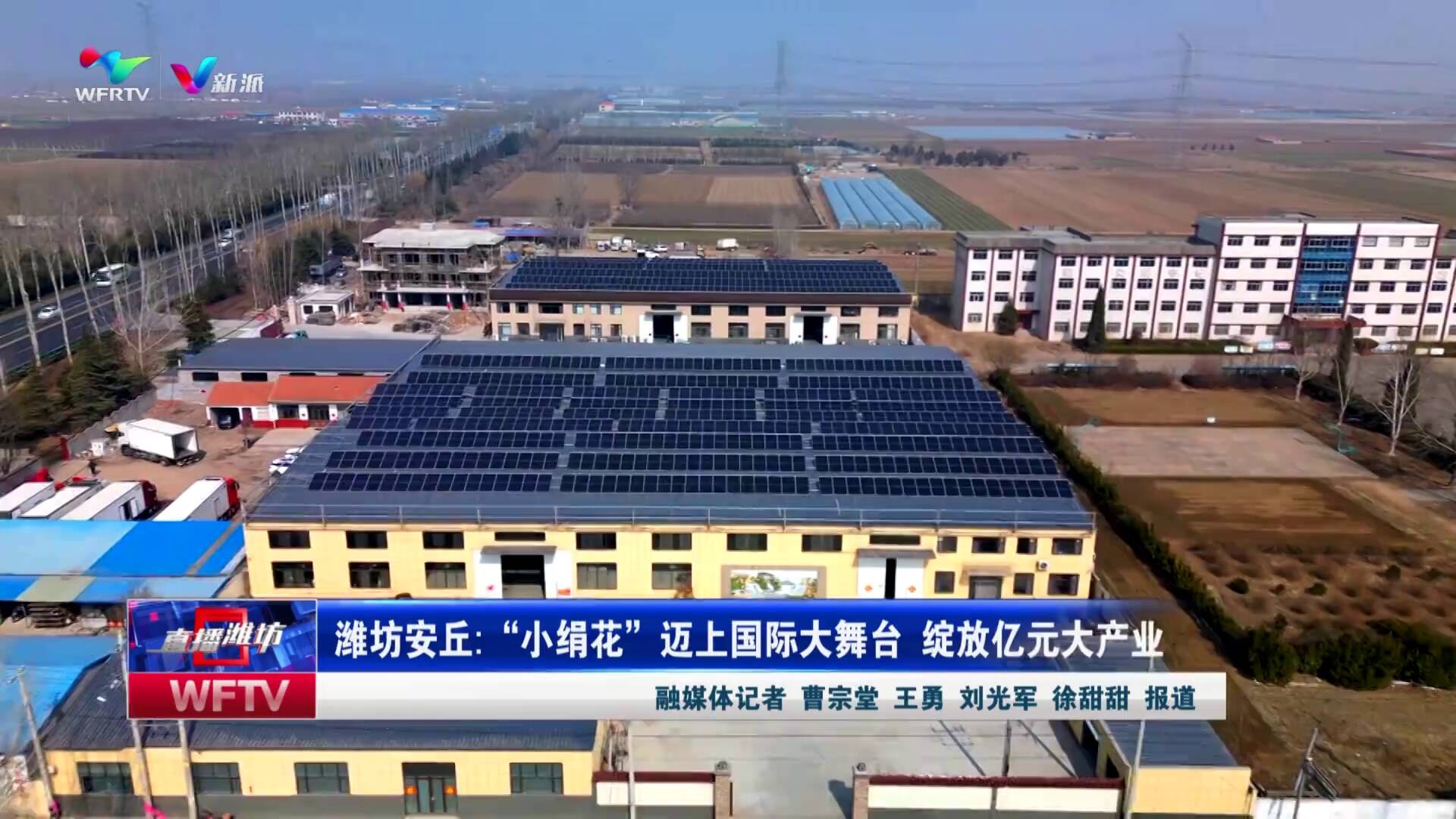【直播潍坊】潍坊安丘：“小绢花”迈上国际大舞台 绽放亿元大产业_新派网-V新派客户端-潍坊市广播电视台