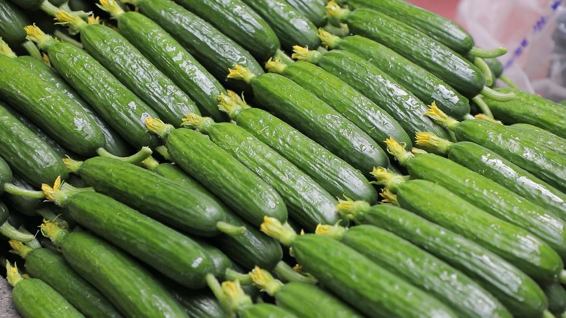 您当前的位置:>首页>新派新闻>潍坊广电新媒体讯潍坊寿光积极引导蔬菜