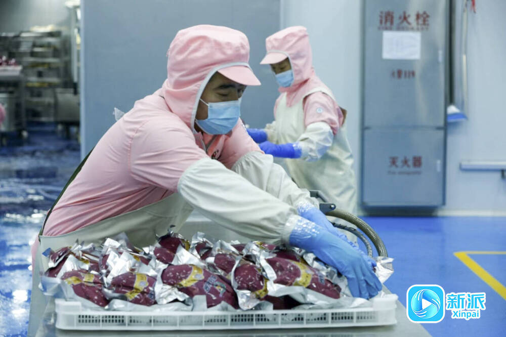 开云千村百镇话振兴丨潍坊特色产业多点开花 拓宽融合发展新路径(图2)