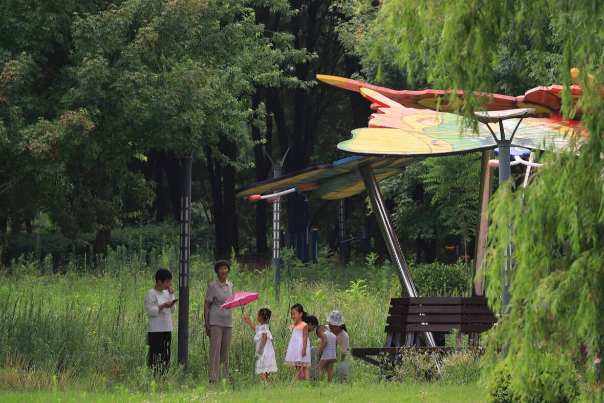 雨后濰坊：一城青翠醉游人